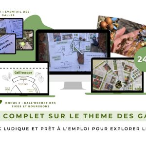 Pack complet sur le thème des galles - version 2.0