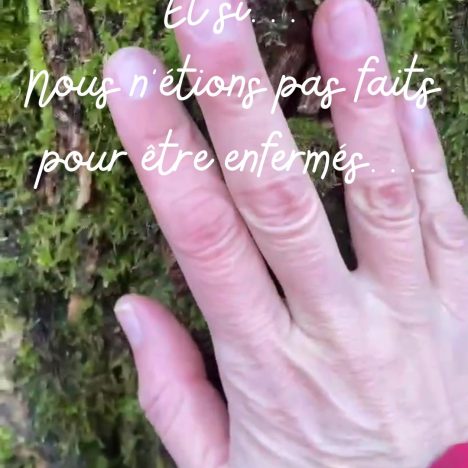 Boules de neige 100% nature