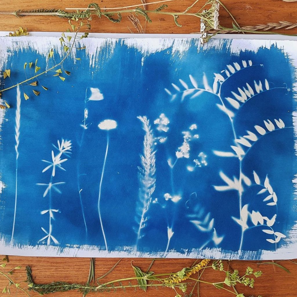 résultat final cyanotype