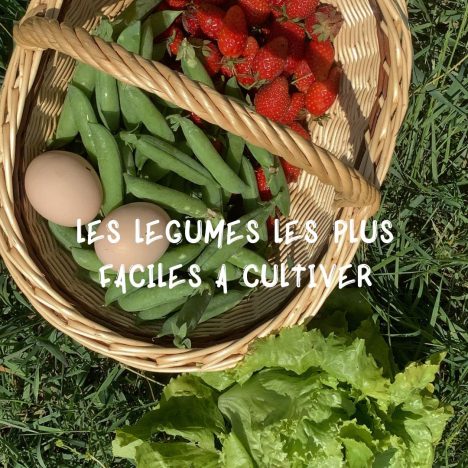 Cuisiner grâce au soleil avec un four solaire
