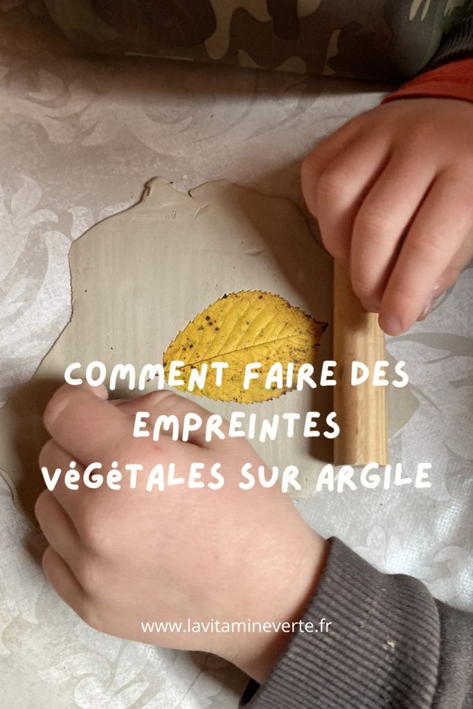 comment faire des empreintes végétales sur argile