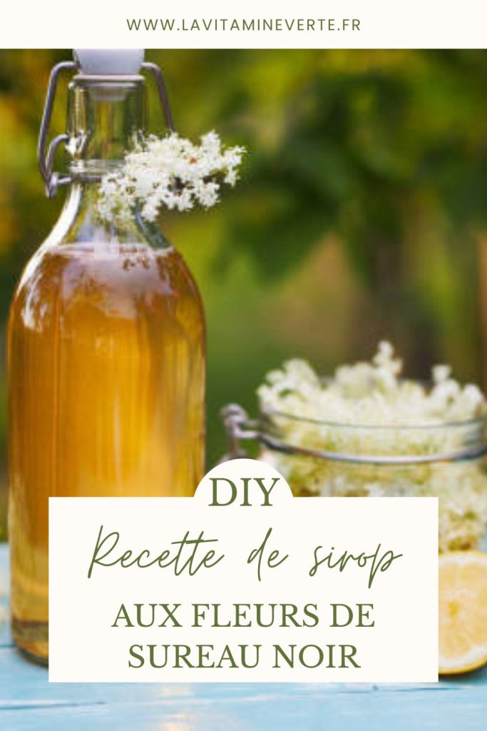 recette de sirop aux fleurs de sureau noir
