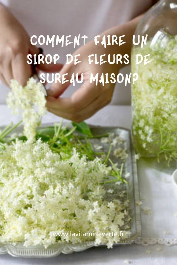 comment faire un sirop de fleurs de sureau maison?