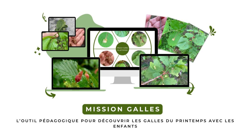 mission galles
activité nature enfants famille