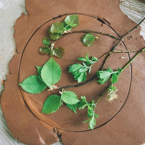 Comment faire un sirop de fleurs de sureau maison?
