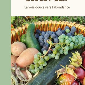 Budget Zen La voie douce vers l'abondance