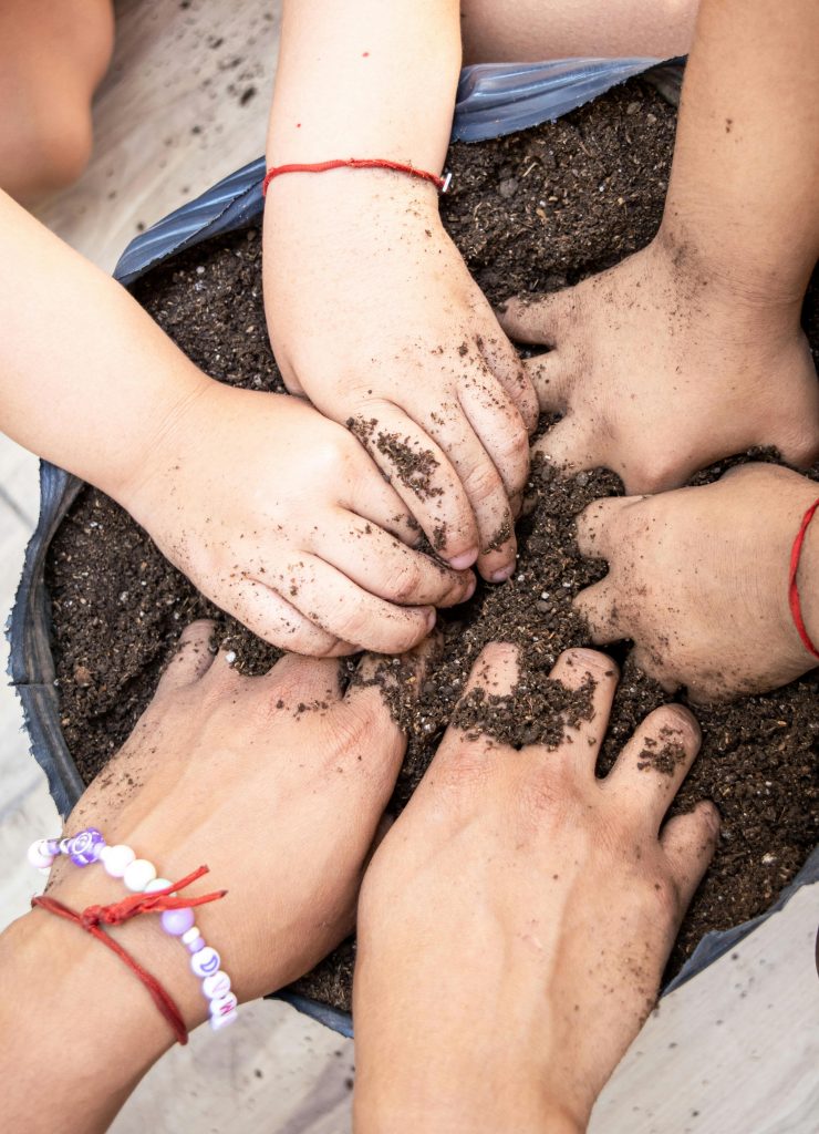 main dans la terre en famille
potager
semer des graines de légumes