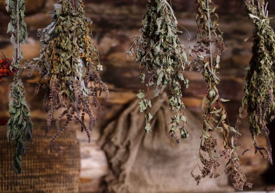 plante médicinale séchée