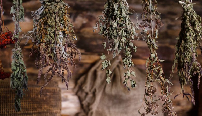 plante médicinale séchée
