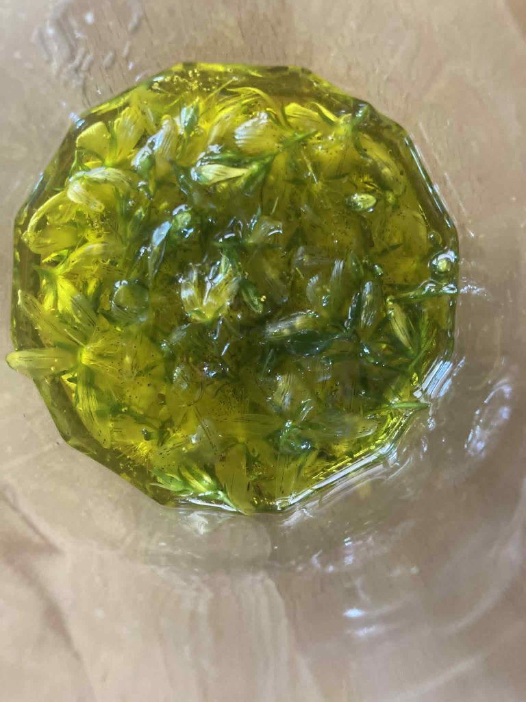 macération fleurs de millepertuis