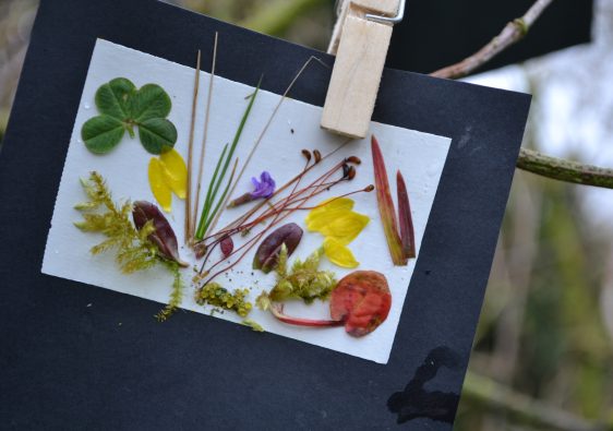 créer avec la nature