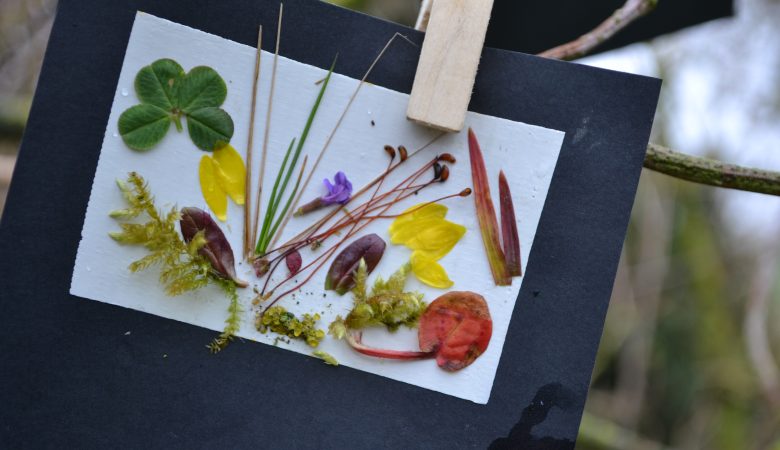 créer avec la nature