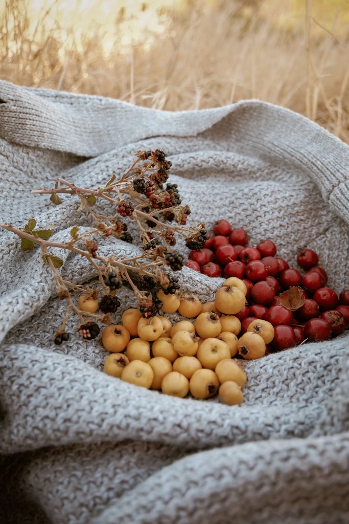 fruits d'automne