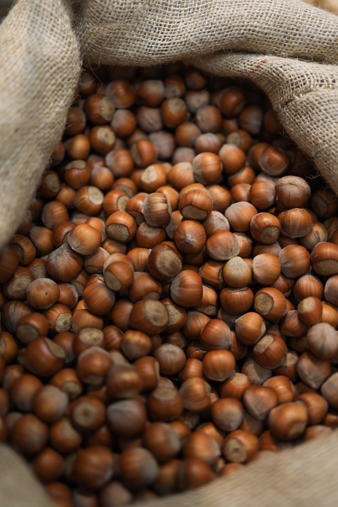récolte de noisette